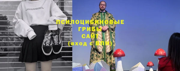 spice Абинск