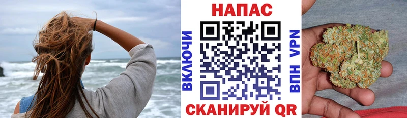 Бошки марихуана ГИДРОПОН  Истра 